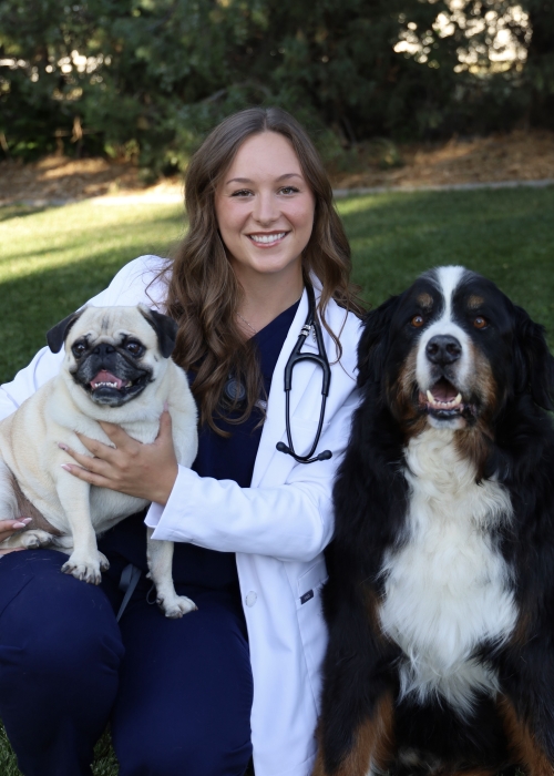 Madison Willden, DVM